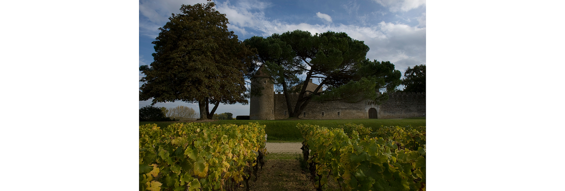 Карта сомелье: куда поехать ценителям вина (фото 1)