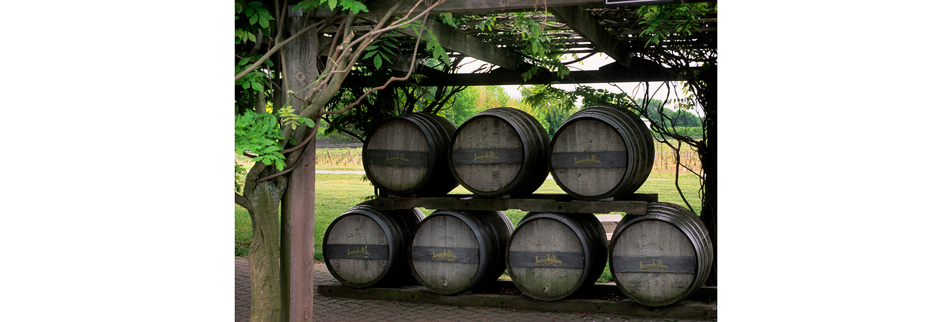 Карта сомелье: куда поехать ценителям вина (фото 8)