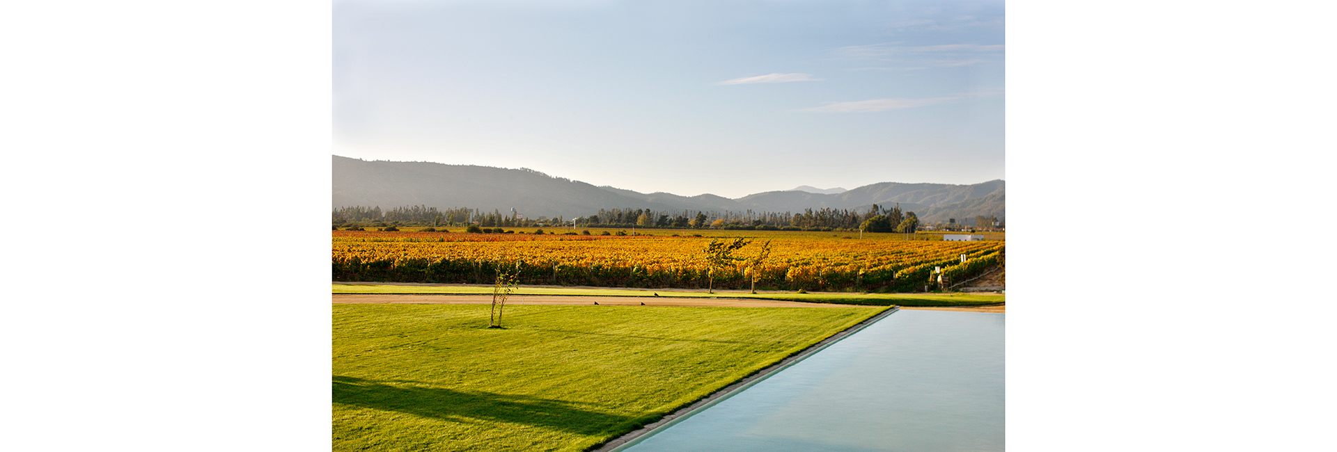 Карта сомелье: куда поехать ценителям вина (фото 7)