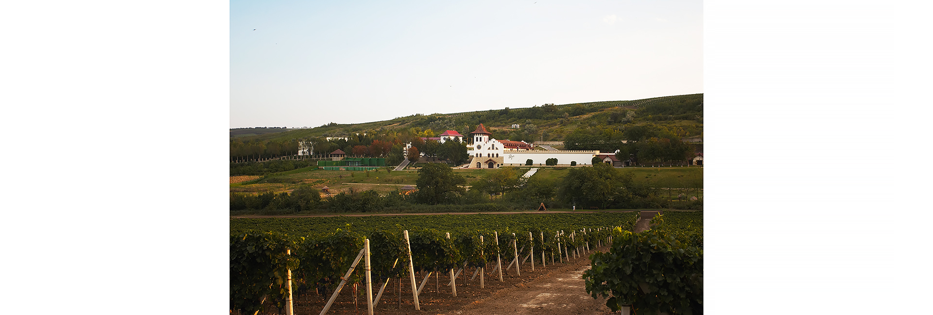 Карта сомелье: куда поехать ценителям вина (фото 4)