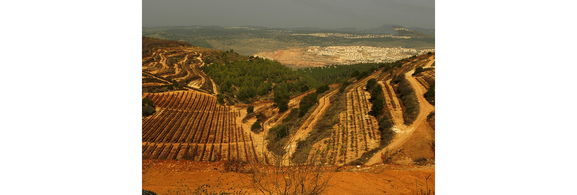 Карта сомелье: куда поехать ценителям вина (фото 3)