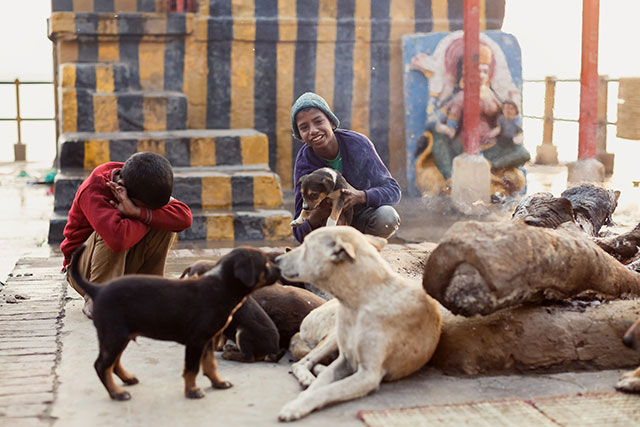 Кадр за кадром: подробный фотоотчет о путешествии в Варанаси (фото 12)