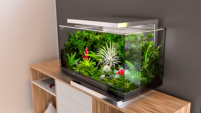 Biopod: тропический лес в маленькой коробке (фото 1)