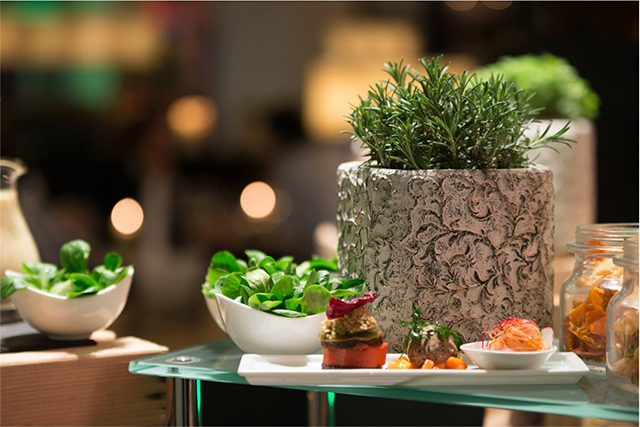 Призма времени: место в Цюрихе, где прошлое граничит с настоящим (фото 1)