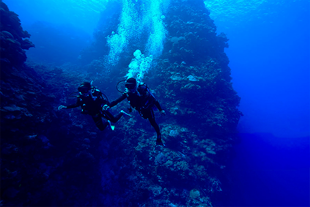 Где провести свадебную церемонию: 10 необычных мест (фото 5)