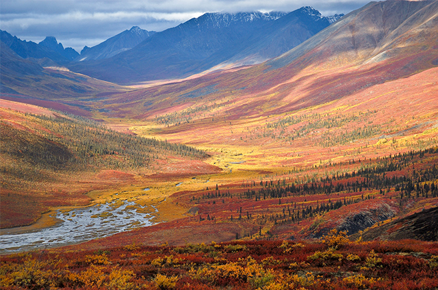 Зарабатывать, путешествуя: идем маршрутами авантюристов (фото 1)