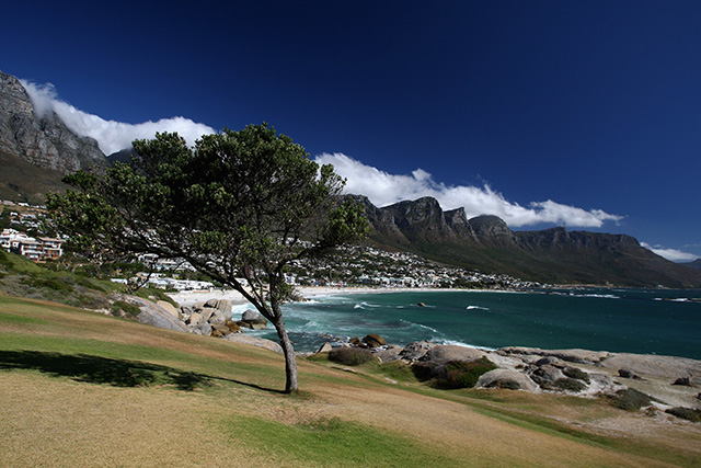 Кейптаун: цветы, пираты и жареные антилопы в самом красивом городе Африки (фото 12)