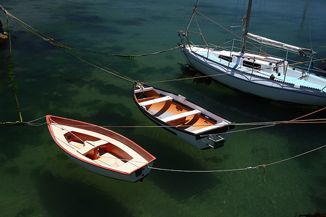 Кейптаун: цветы, пираты и жареные антилопы в самом красивом городе Африки (фото 10)