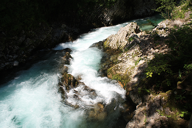 Big Berry: экоотдых на берегу реки Колпы (фото 5)