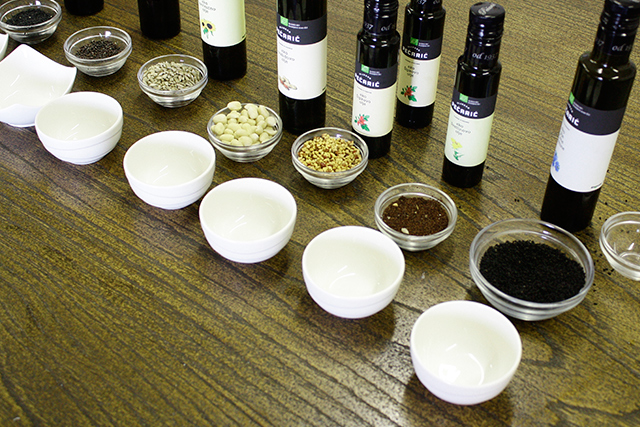 Big Berry: экоотдых на берегу реки Колпы (фото 7)