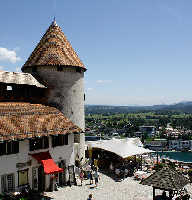 Big Berry: экоотдых на берегу реки Колпы (фото 4)