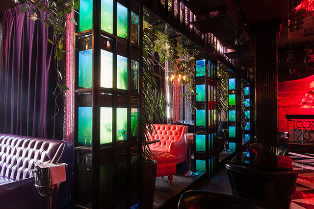 Всем #LOL: Денис Симачев обновляет проект (фото 3)