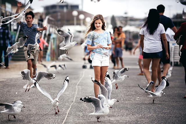 Путевые заметки: Австралия (фото 30)
