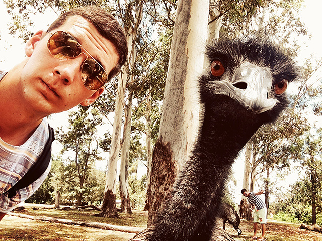 Путевые заметки: Австралия (фото 38)