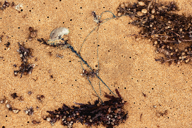 Путевые заметки: Австралия (фото 51)