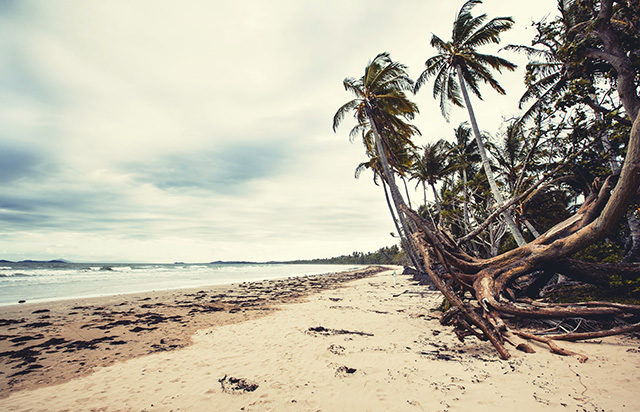 Путевые заметки: Австралия (фото 52)