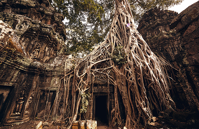 Путевые заметки: Камбоджа (фото 8)