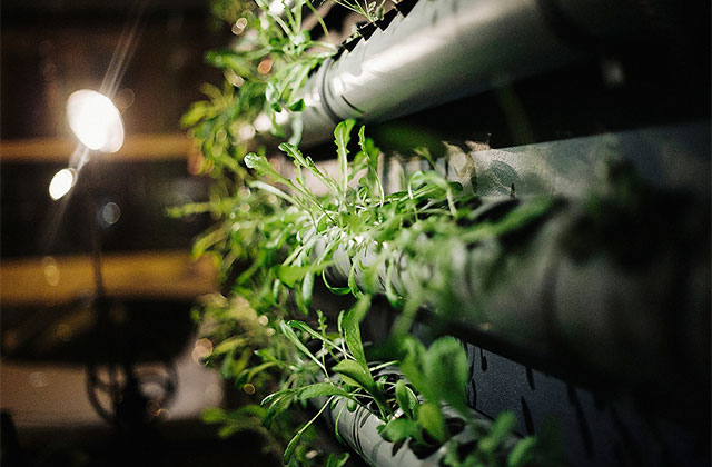 Космос ближе, чем кажется (фото 12)