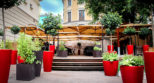 Лучшие веранды московских ресторанов (фото 12)