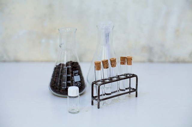 В Осмотеке придумали ароматы для WhatsApp (фото 2)