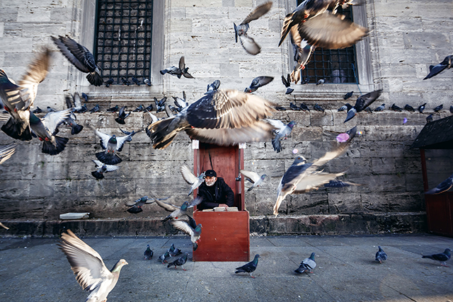 Путевые заметки: Стамбул (фото 6)