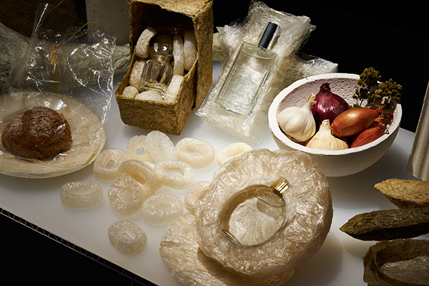 AGAR PLASTICITY. Дизайнерская группа AMAM Lexus Hybrid Art представит конкурс дизайна в России (фото 2)