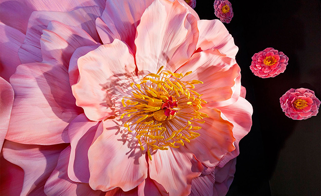 Витрины Selfridges расцвели букетами от Apple (фото 3)