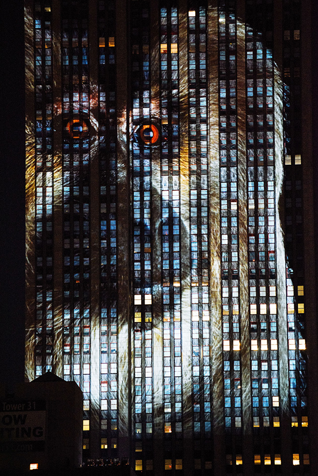 На Эмпайр-стейт-билдинг спроецировали вымирающих животных (фото 1)