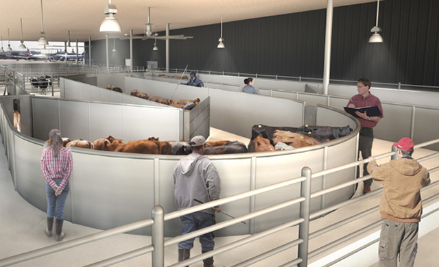 Первый в мире терминал для животных в аэропорту Нью-Йорка (фото 1)