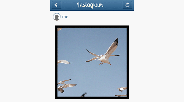 Instagram разрешил публиковать прямоугольные фото и видео