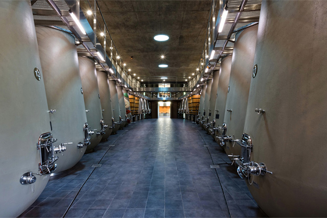 Винный погреб от Филиппа Старка (фото 2)