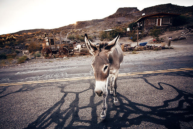 Путевые заметки: Дикий Запад (фото 7)