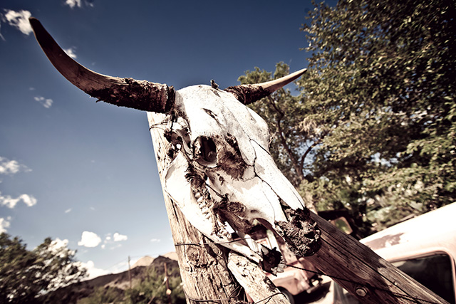 Путевые заметки: Дикий Запад (фото 10)