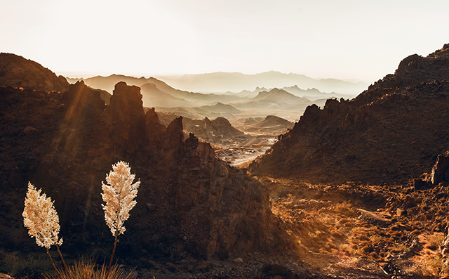 Путевые заметки: Дикий Запад (фото 11)