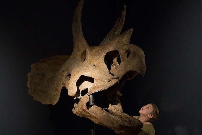 Out of the Ordinary: необычный аукцион Christie's (фото 2)