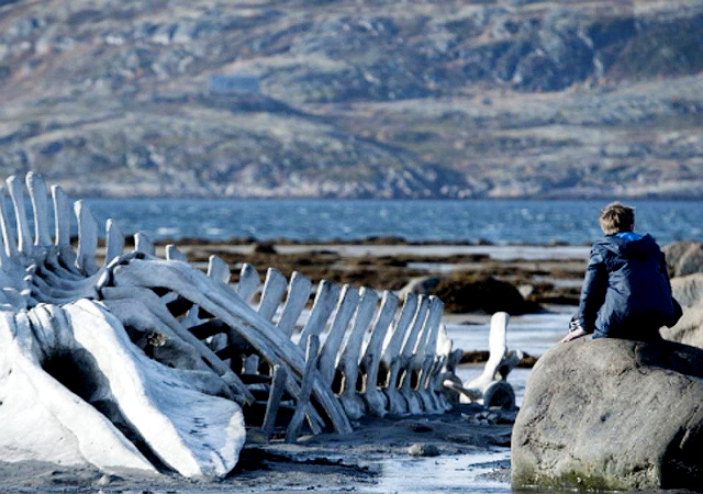 5 самых интересных фильмов в конкурсной программе Каннского фестиваля-2014 (фото 4)