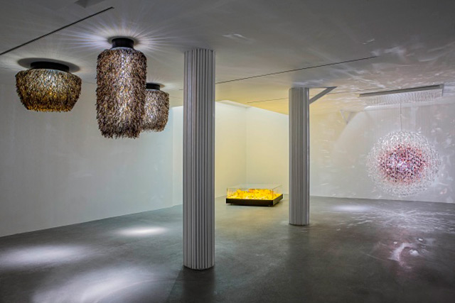 Обратите внимание: выставка Стюарта Хейгарта в Париже (фото 1)