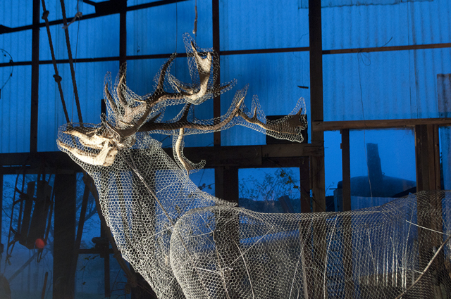 Jean-Luc Favero "Астралис": новая выставка в парижском Espace Culturel Louis Vuitton (фото 4)