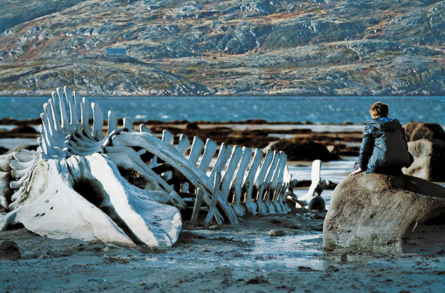 Андрей Звягинцев о цензуре, эмиграции и хеппи-эндах (фото 1)