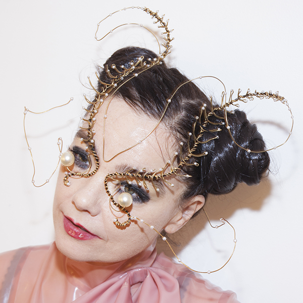 Невероятные макияжи, которые носит Бьорк