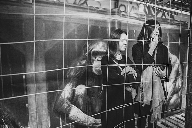 Ретроспектива Паши 183 открылась в ММОМА (фото 4)