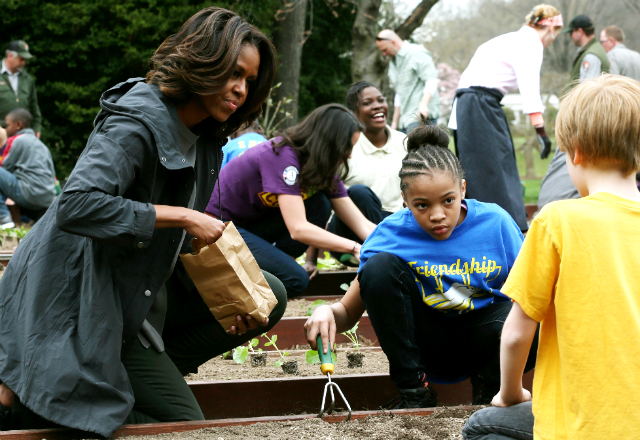 Мишель Обама на шестой посадке огорода у Белого дома (фото 1)