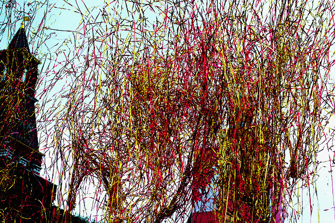 Старт московского этапа эстафеты Олимпийского огня (фото 6)