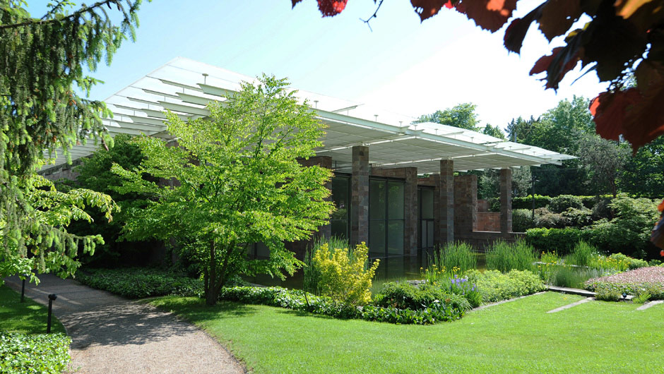 Три выставки уходящего лета, которые нельзя пропустить (фото 14)