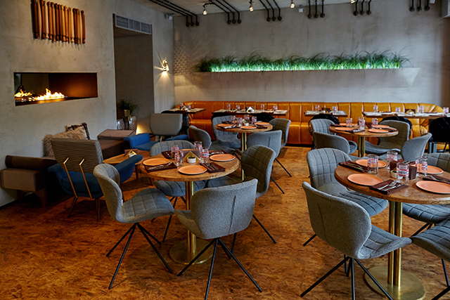 Питерский ресторан "Белка": здоровая еда с цитатами стритфуда (фото 1)