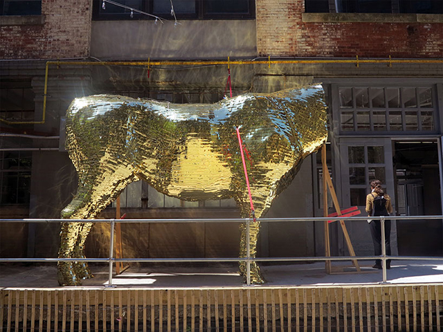 "Золотого быка" с деньгами разобьют в Бруклине (фото 5)