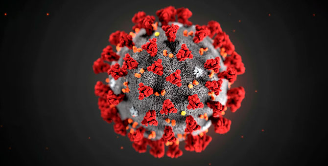 Ученые раскритиковали статью о российской вакцине против коронавируса