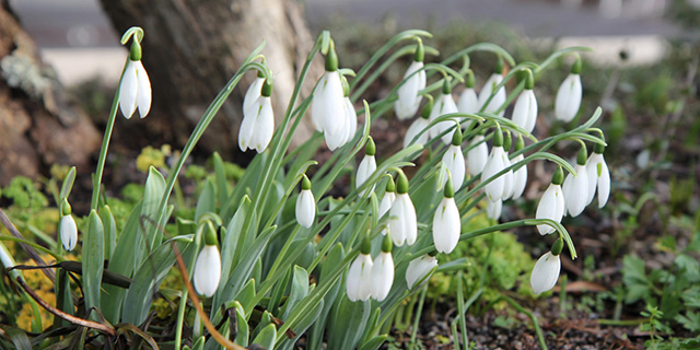 В Великобритании появится самый экологичный отель в мире? (фото 4)