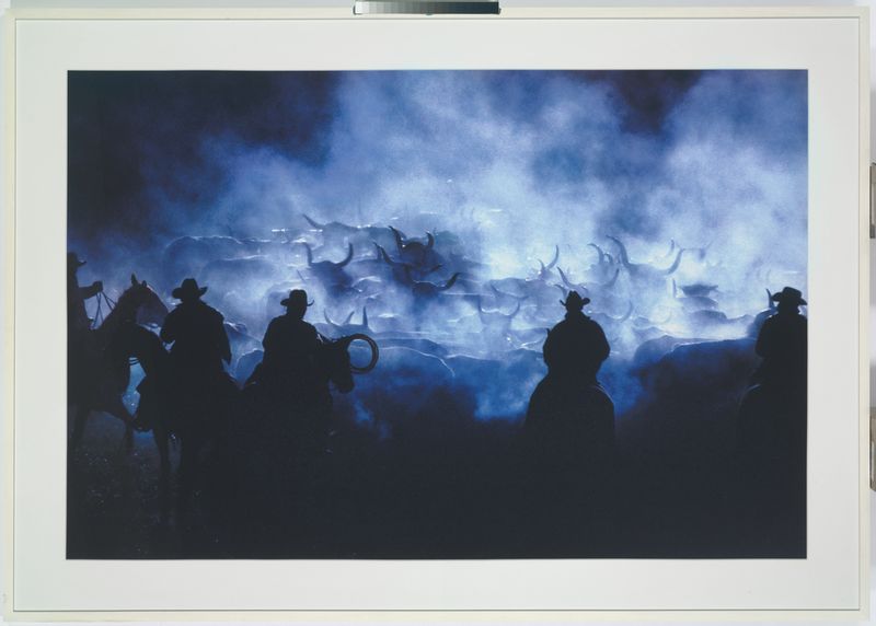 Аукцион Леонардо ДиКаприо на Christie's (фото 4)