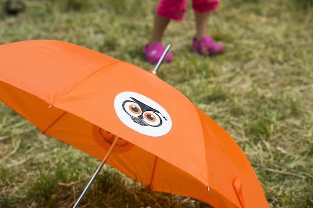 Образование летом: проект "Умный лагерь" (фото 8)